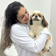 cachorro-sendo-cuidado-no-vitta-hospital-veterinario