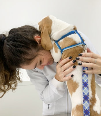 veterinaria-com-cachorrinho-vitta-hospital-veterinario