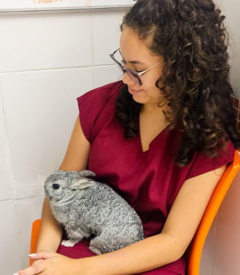 veterinaria-com-coelha-no-hospital-veterinario-vitta